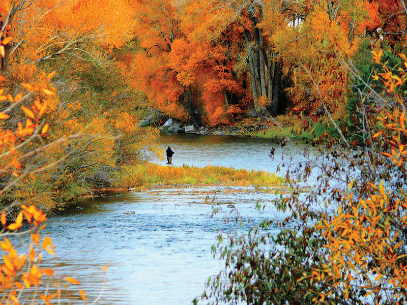 RioGrandeFlyFishing JohnMcEvoy